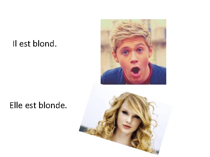 Il est blond. Elle est blonde. 