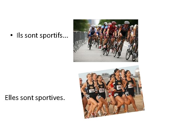  • Ils sont sportifs. . . Elles sont sportives. 