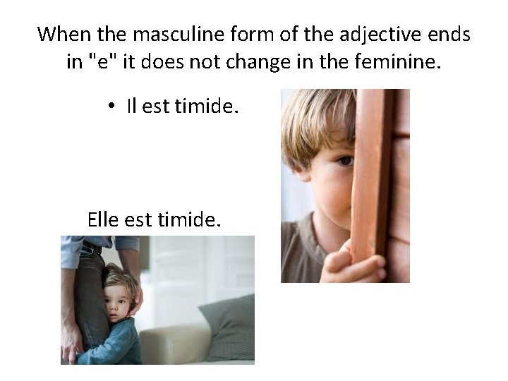 When the masculine form of the adjective ends in "e" it does not change