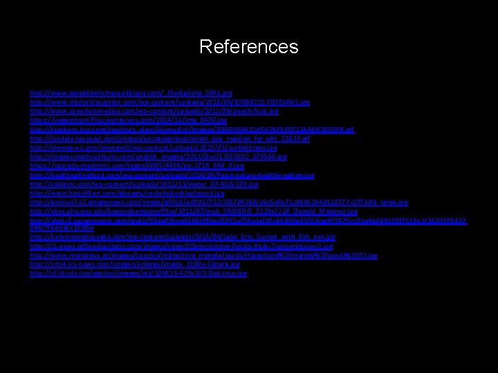 References http: //www. gestaltswitchexpeditions. com/_Media/img_2841. jpg http: //www. doctordisruption. com/wp-content/uploads/2010/04/63660232. FDYEqf 4 l 1.