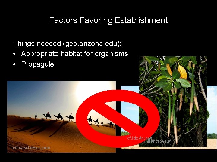Factors Favoring Establishment Things needed (geo. arizona. edu): • Appropriate habitat for organisms •