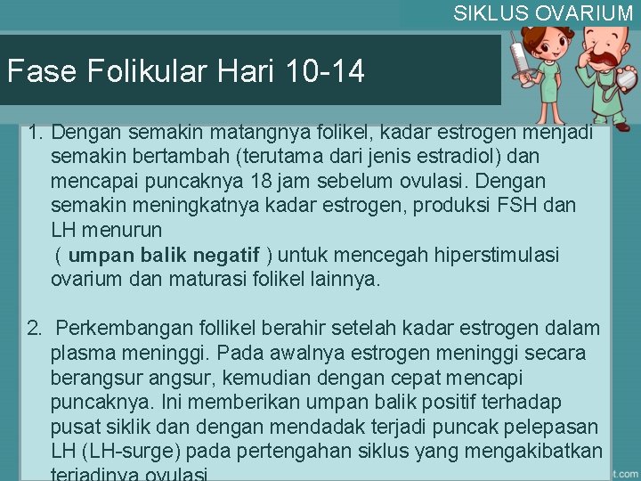 SIKLUS OVARIUM Fase Folikular Hari 10 -14 1. Dengan semakin matangnya folikel, kadar estrogen