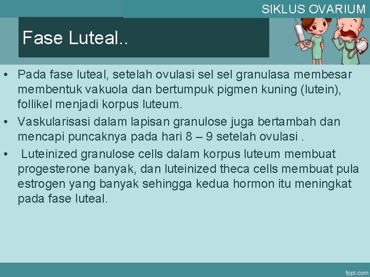 SIKLUS OVARIUM Fase Luteal. . • Pada fase luteal, setelah ovulasi sel granulasa membesar