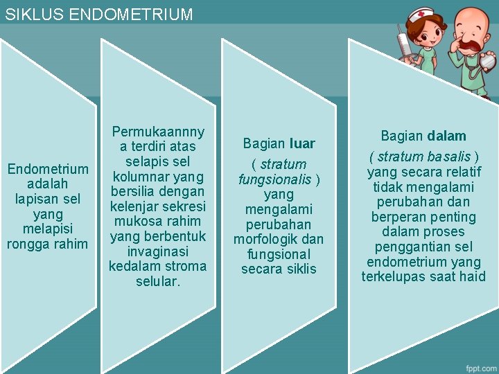 SIKLUS ENDOMETRIUM Endometrium adalah lapisan sel yang melapisi rongga rahim Permukaannny a terdiri atas