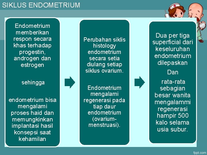 SIKLUS ENDOMETRIUM Endometrium memberikan respon secara khas terhadap progestin, androgen dan estrogen sehingga endometrium