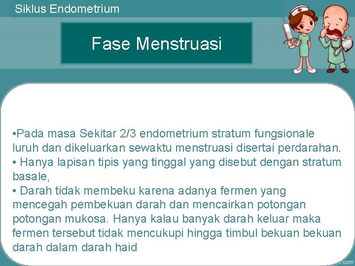 Siklus Endometrium Fase Menstruasi • Pada masa Sekitar 2/3 endometrium stratum fungsionale luruh dan