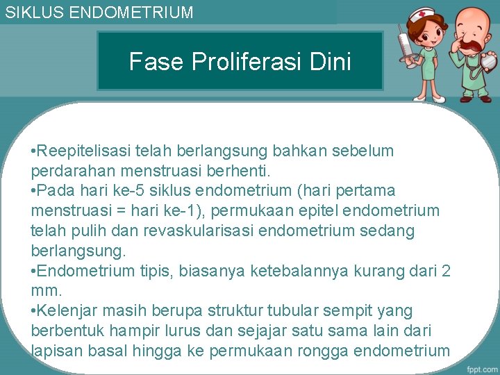 SIKLUS ENDOMETRIUM Fase Proliferasi Dini • Reepitelisasi telah berlangsung bahkan sebelum perdarahan menstruasi berhenti.