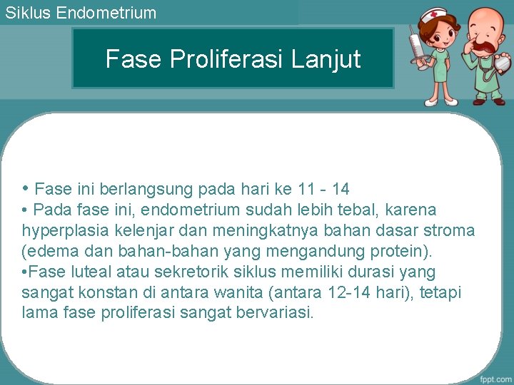 Siklus Endometrium Fase Proliferasi Lanjut • Fase ini berlangsung pada hari ke 11 -