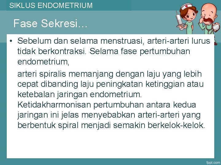 SIKLUS ENDOMETRIUM Fase Sekresi… • Sebelum dan selama menstruasi, arteri-arteri lurus tidak berkontraksi. Selama