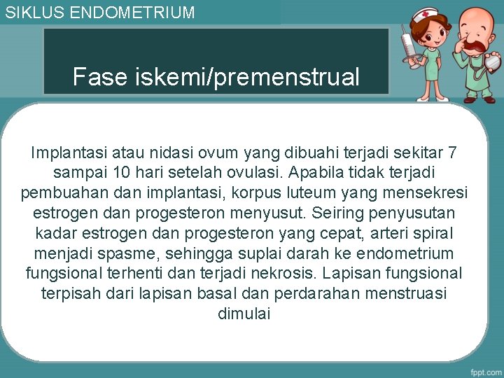 SIKLUS ENDOMETRIUM Fase iskemi/premenstrual Implantasi atau nidasi ovum yang dibuahi terjadi sekitar 7 sampai