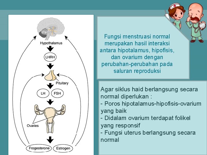 Fungsi menstruasi normal merupakan hasil interaksi antara hipotalamus, hipofisis, dan ovarium dengan perubahan-perubahan pada
