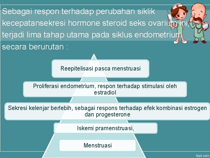 Sebagai respon terhadap perubahan siklik kecepatansekresi hormone steroid seks ovarium ini, terjadi lima tahap