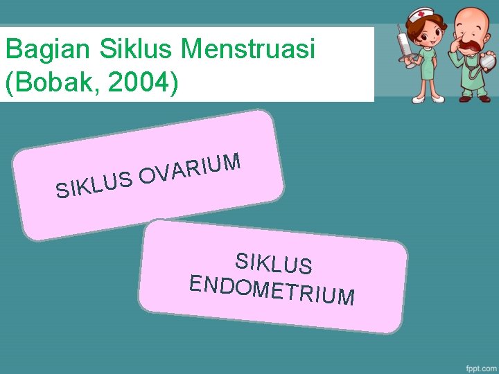 Bagian Siklus Menstruasi (Bobak, 2004) SIKLU M U I R A S OV SIKLUS