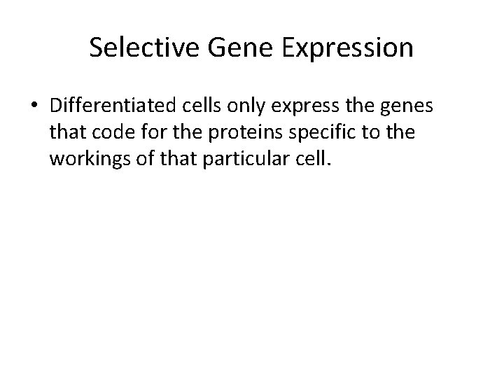 Selective Gene Expression • Differentiated cells only express the genes that code for the