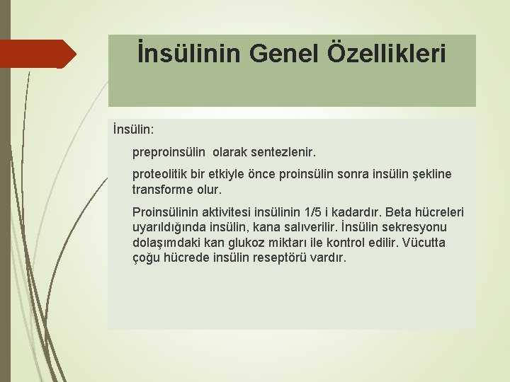 İnsülinin Genel Özellikleri İnsülin: preproinsülin olarak sentezlenir. proteolitik bir etkiyle önce proinsülin sonra insülin