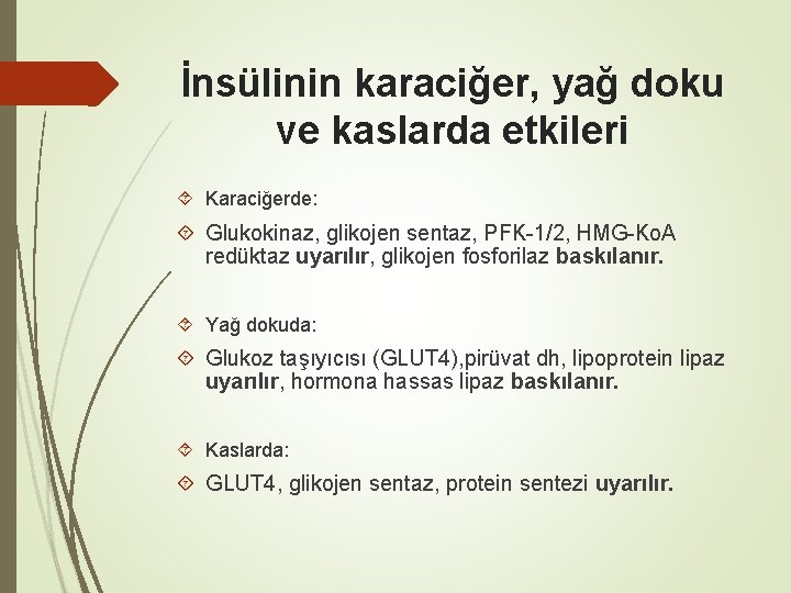 İnsülinin karaciğer, yağ doku ve kaslarda etkileri Karaciğerde: Glukokinaz, glikojen sentaz, PFK-1/2, HMG-Ko. A