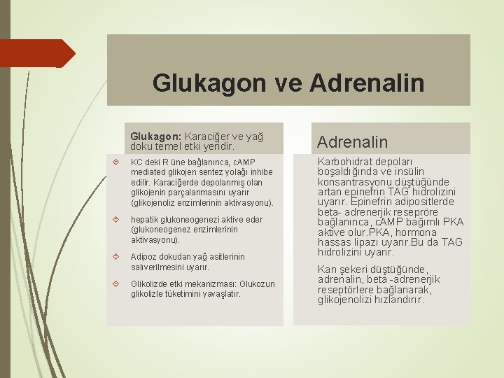 Glukagon ve Adrenalin Glukagon: Karaciğer ve yağ doku temel etki yeridir. Adrenalin KC deki