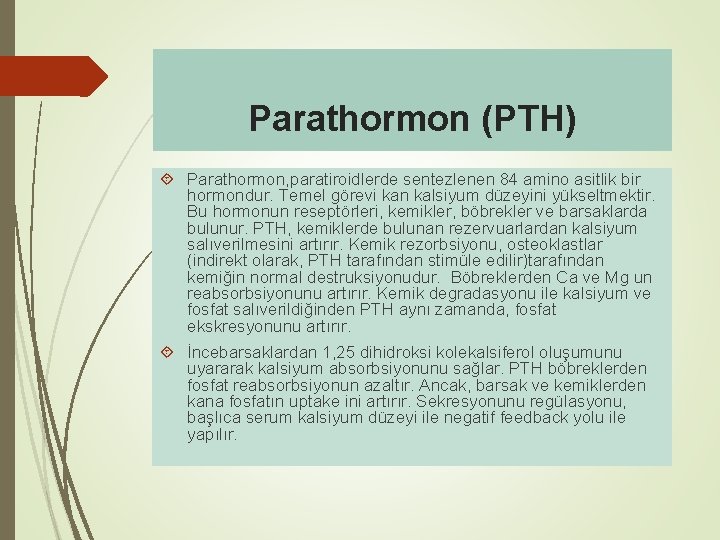 Parathormon (PTH) Parathormon, paratiroidlerde sentezlenen 84 amino asitlik bir hormondur. Temel görevi kan kalsiyum