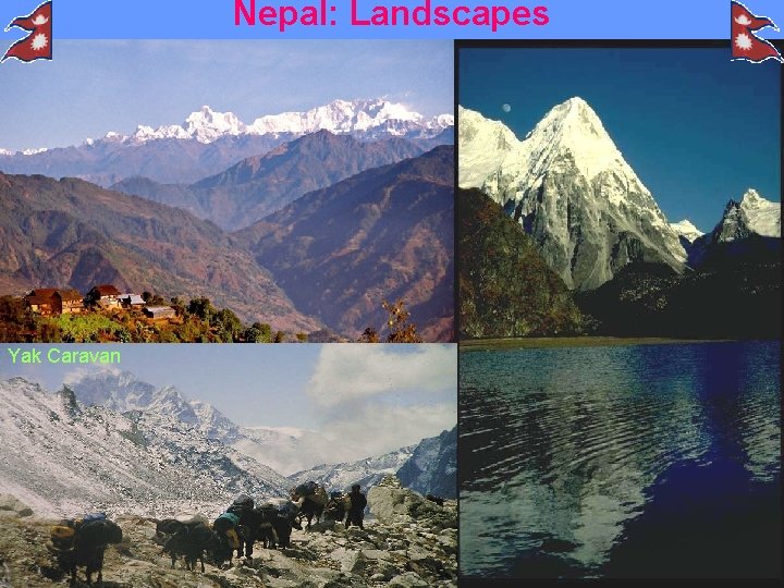 Nepal: Landscapes Yak Caravan 