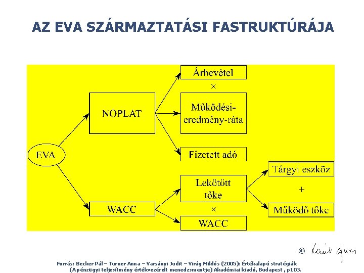 AZ EVA SZÁRMAZTATÁSI FASTRUKTÚRÁJA © Forrás: Becker Pál – Turner Anna – Varsányi Judit