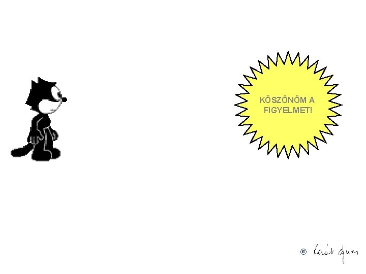 KÖSZÖNÖM A FIGYELMET! © 