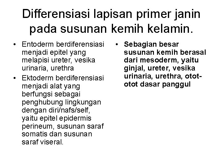 Differensiasi lapisan primer janin pada susunan kemih kelamin. • Entoderm berdiferensiasi menjadi epitel yang