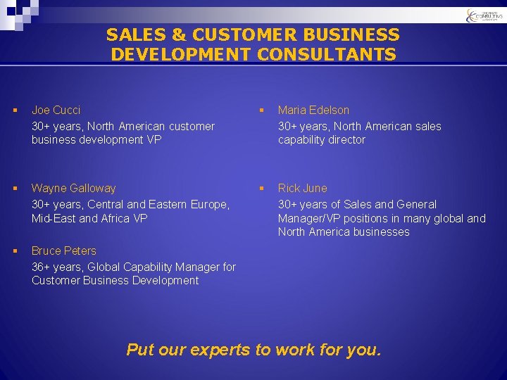 SALES & CUSTOMER BUSINESS DEVELOPMENT CONSULTANTS § Joe Cucci 30+ years, North American customer