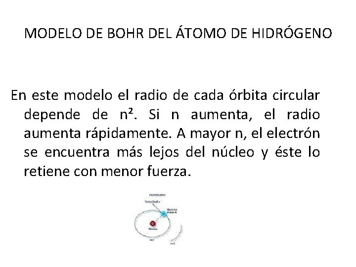 MODELO DE BOHR DEL ÁTOMO DE HIDRÓGENO En este modelo el radio de cada