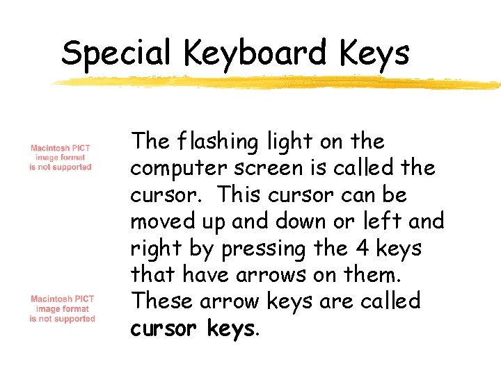 Special Keyboard Keys The flashing light on the computer screen is called the cursor.