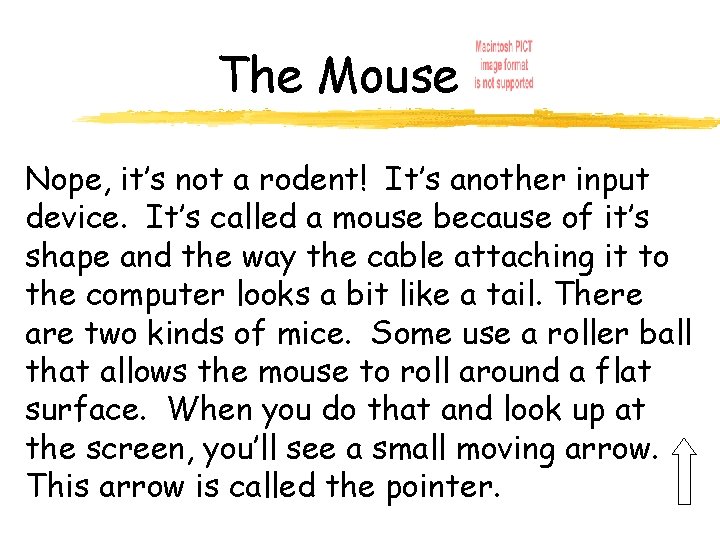 The Mouse Nope, it’s not a rodent! It’s another input device. It’s called a
