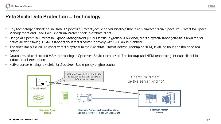 Peta Scale Data Protection – Technology • Key technology behind the solution is Spectrum