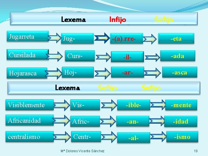 Lexema Jugarreta Cursilada Hojarasca Infijo Jug- -(a) rre- Curs. Hoj- Lexema Sufijo -eta -il-