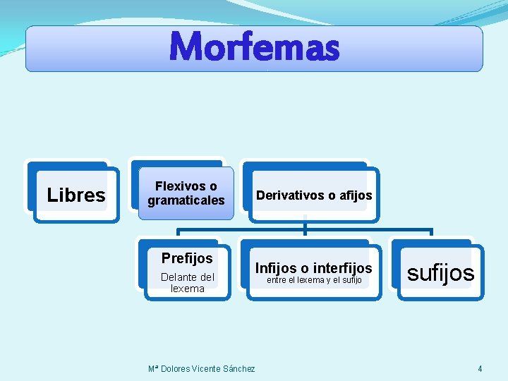 Morfemas Libres Flexivos o gramaticales Prefijos Delante del lexema Derivativos o afijos Infijos o