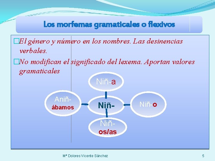 Los morfemas gramaticales o flexivos �El género y número en los nombres. Las desinencias