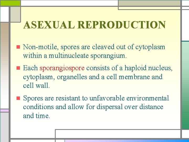 ASEXUAL REPRODUCTION n Non-motile, spores are cleaved out of cytoplasm within a multinucleate sporangium.