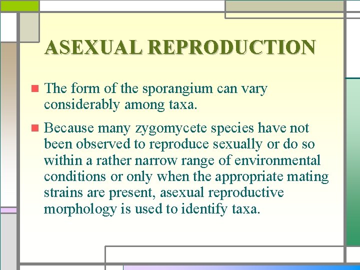 ASEXUAL REPRODUCTION n The form of the sporangium can vary considerably among taxa. n