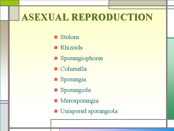 ASEXUAL REPRODUCTION n Stolons n Rhizoids n Sporangiophores n Columella n Sporangiola n Merosporangia