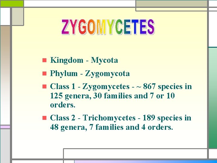n Kingdom - Mycota n Phylum - Zygomycota n Class 1 - Zygomycetes -