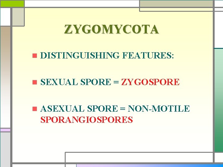 ZYGOMYCOTA n DISTINGUISHING FEATURES: n SEXUAL SPORE = ZYGOSPORE n ASEXUAL SPORE = NON-MOTILE