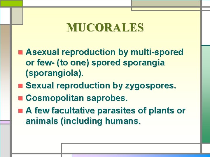 MUCORALES Asexual reproduction by multi-spored or few- (to one) spored sporangia (sporangiola). n Sexual