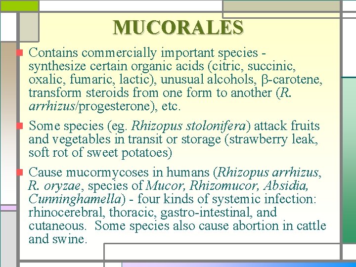 MUCORALES Contains commercially important species synthesize certain organic acids (citric, succinic, oxalic, fumaric, lactic),