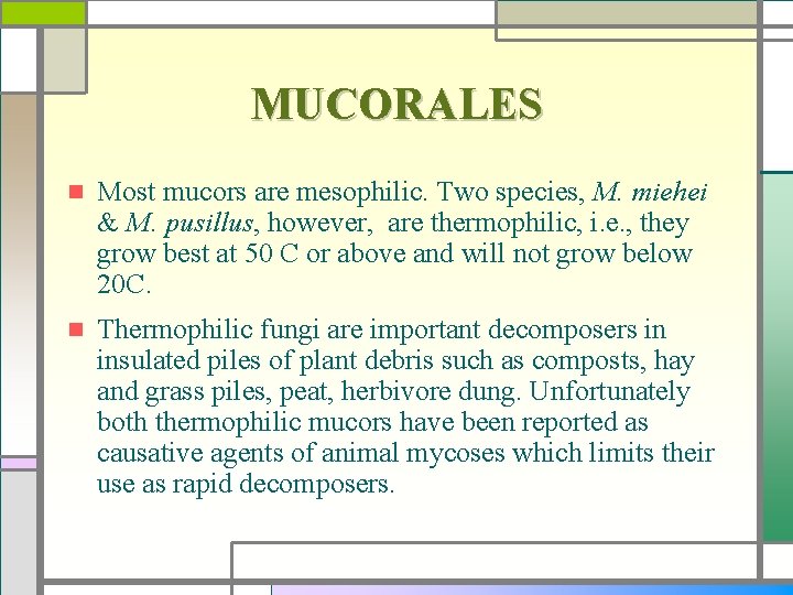 MUCORALES n Most mucors are mesophilic. Two species, M. miehei & M. pusillus, however,