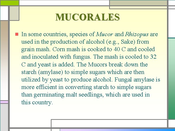 MUCORALES n In some countries, species of Mucor and Rhizopus are used in the