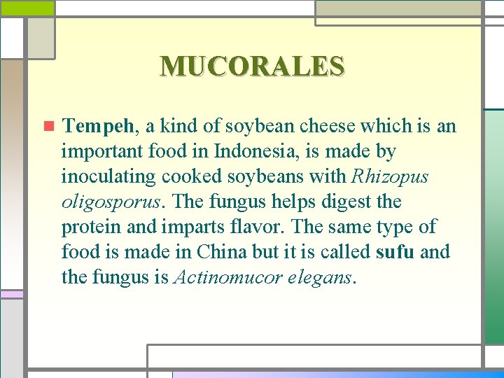 MUCORALES n Tempeh, a kind of soybean cheese which is an important food in
