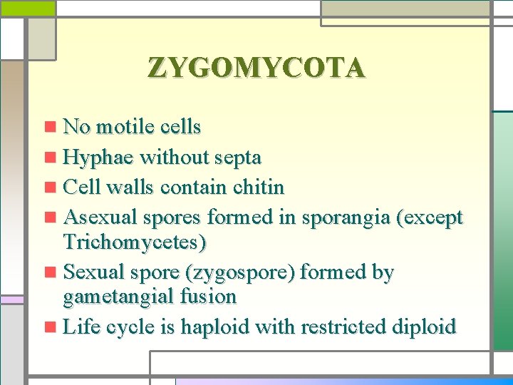 ZYGOMYCOTA n No motile cells n Hyphae without septa n Cell walls contain chitin