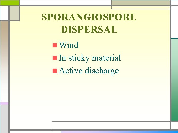 SPORANGIOSPORE DISPERSAL n Wind n In sticky material n Active discharge 