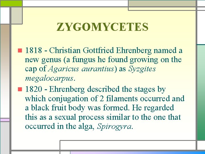 ZYGOMYCETES 1818 - Christian Gottfried Ehrenberg named a new genus (a fungus he found