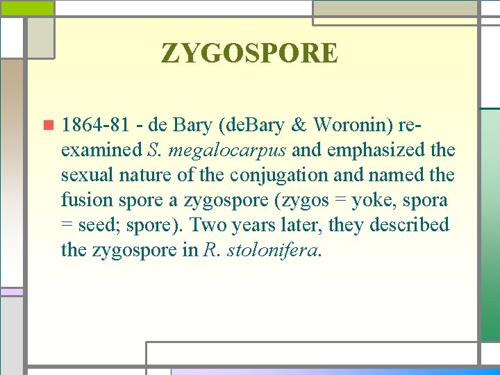 ZYGOSPORE n 1864 -81 - de Bary (de. Bary & Woronin) reexamined S. megalocarpus