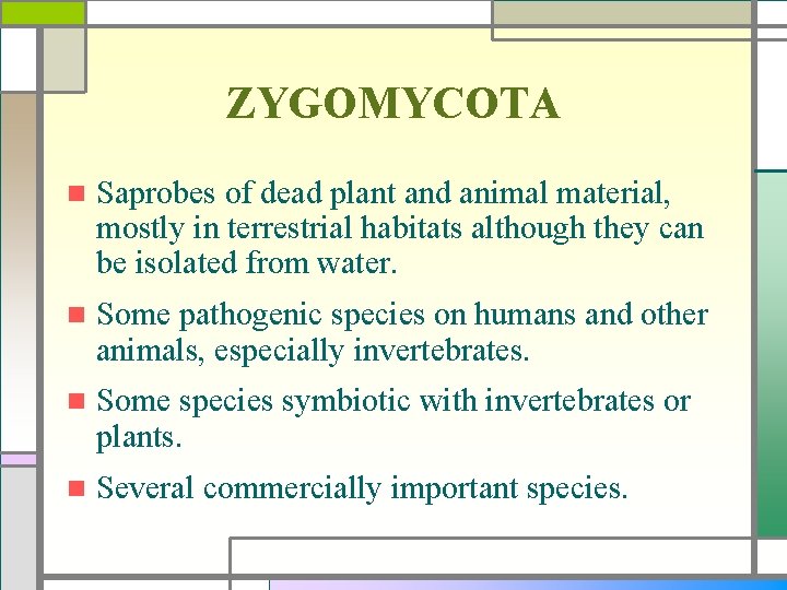 ZYGOMYCOTA n Saprobes of dead plant and animal material, mostly in terrestrial habitats although