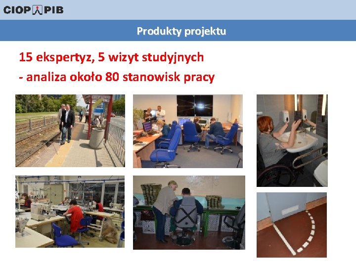 Produkty projektu 15 ekspertyz, 5 wizyt studyjnych - analiza około 80 stanowisk pracy 